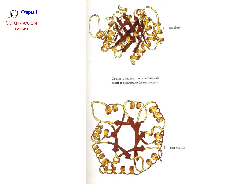 ФармФ  Органическая химия